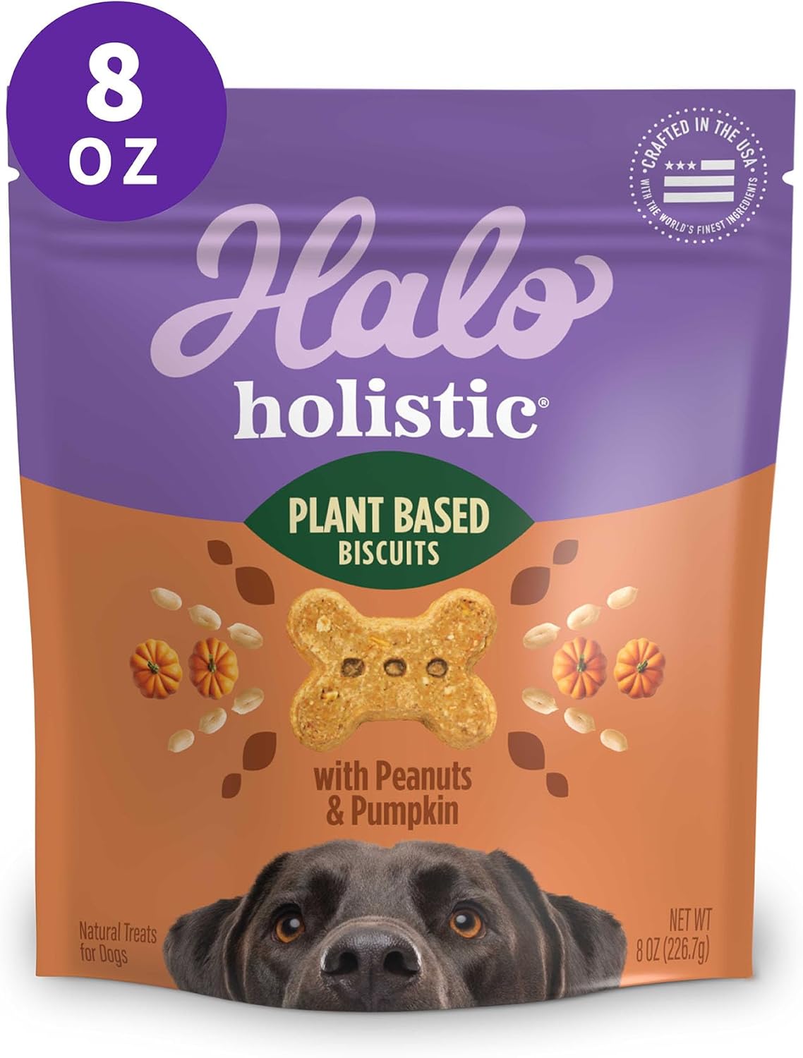 Holistic Vegan Dog Treats, Plant-Based Dog Treat with Peanuts & Pumpkins, Vegan Treat Pouch, 8 Oz Bag