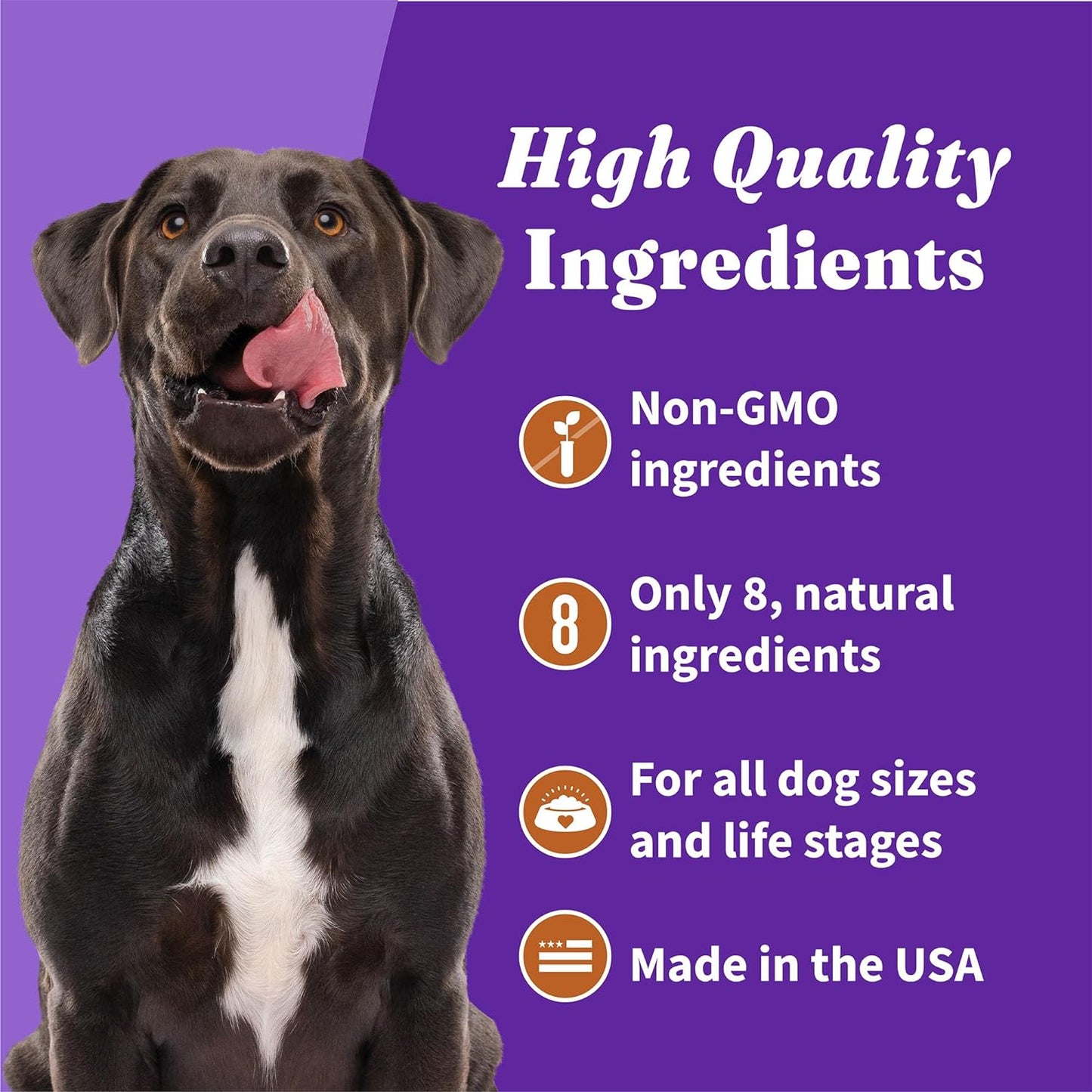 Holistic Vegan Dog Treats, Plant-Based Dog Treat with Peanuts & Pumpkins, Vegan Treat Pouch, 8 Oz Bag