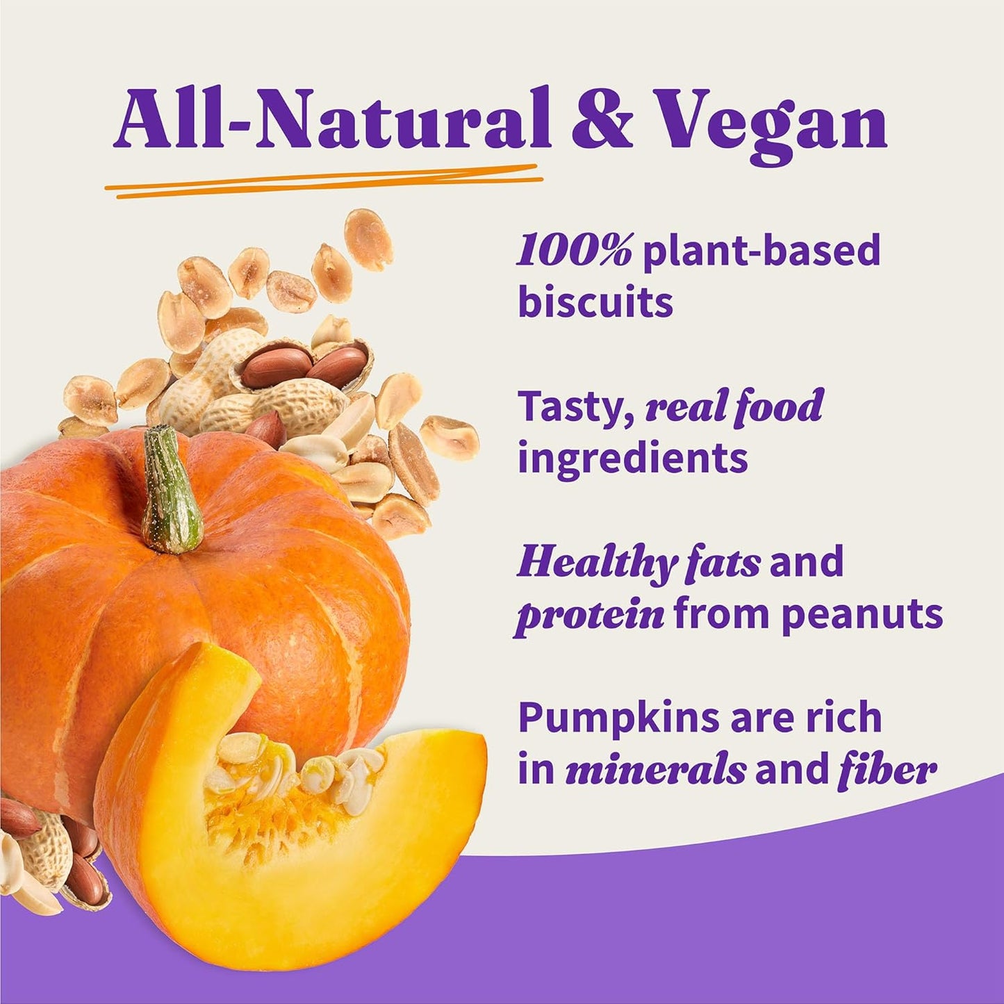 Holistic Vegan Dog Treats, Plant-Based Dog Treat with Peanuts & Pumpkins, Vegan Treat Pouch, 8 Oz Bag