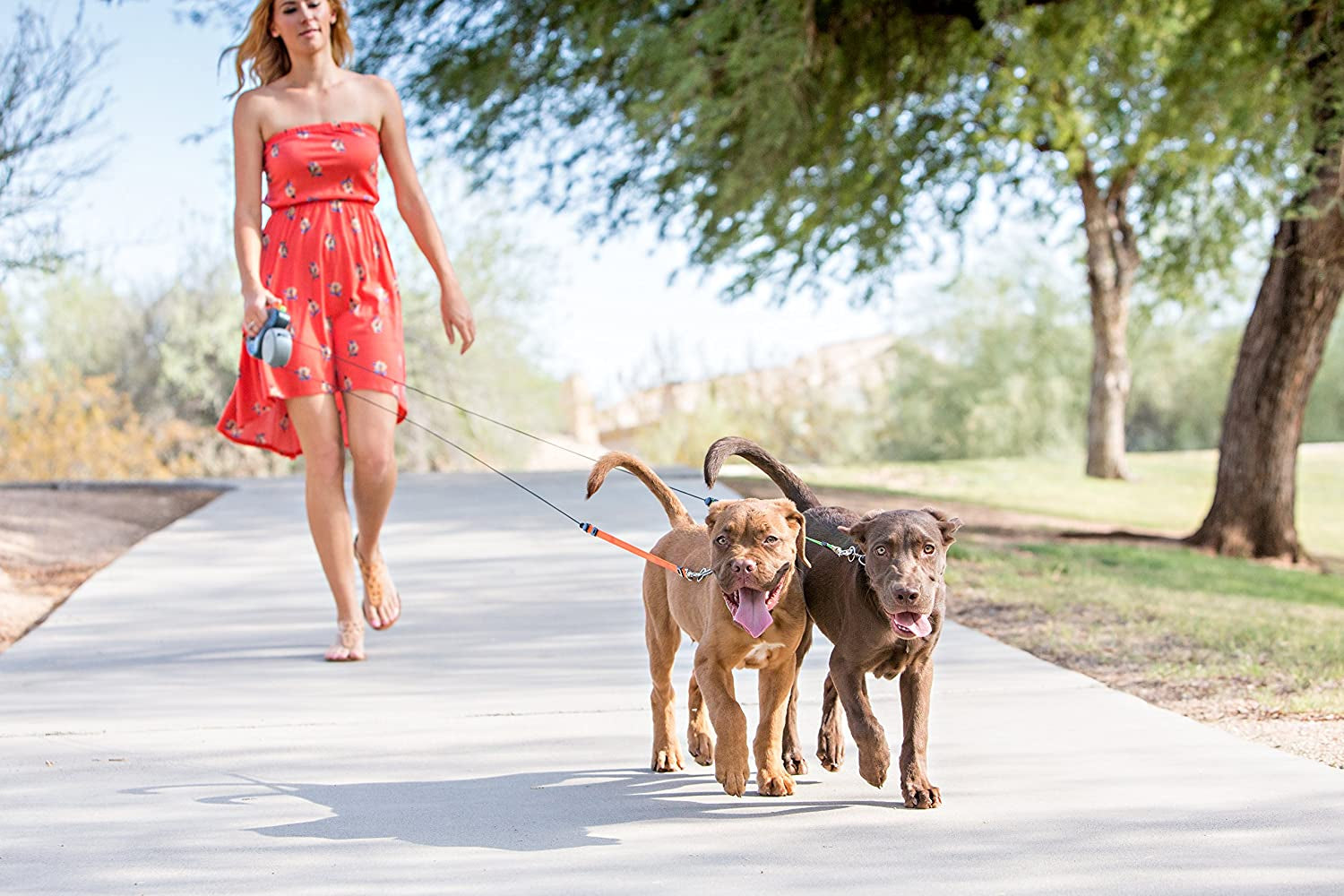 - 2025 Edition - 2 Dog Retractable Leash – Featuring Our Incredible Silicone Gel Handle - No Tangle Engineering. Each Dog 50 Lb up to 10 Ft Distance. Lock and Unlock Easily. Reflective Webbing.